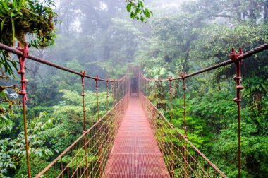 Costa Rica, Rainforest