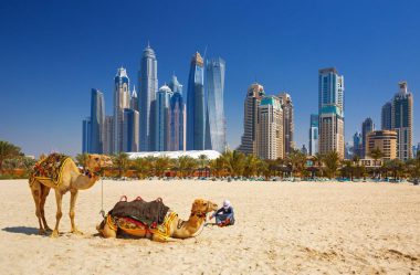 Dubai Skyline