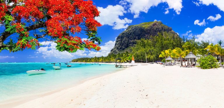 Mauritius – tropical paradise in the Indian Ocean with cultural diversity