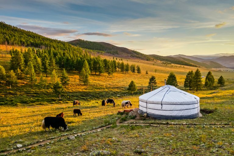 Mongolia – A journey to a distant world