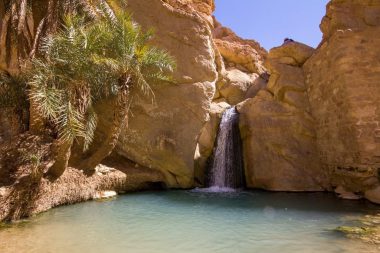 Ein kleiner Wasserfall mündet in ein klares, blaues Becken, das von felsigen Klippen und Palmen umgeben ist – unter einem strahlend blauen Himmel, der an die friedlichen Landschaften Tunesiens erinnert.