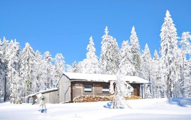 Bavarian Forest