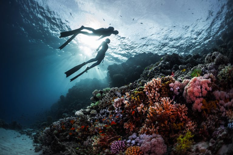 Beautiful diving destinations in winter