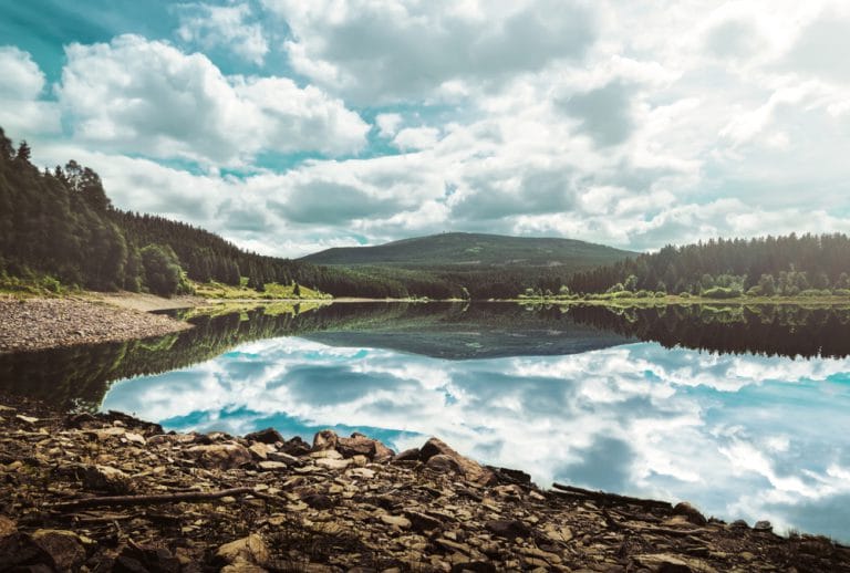 Was man beim Wandern im Harz alles erleben kann