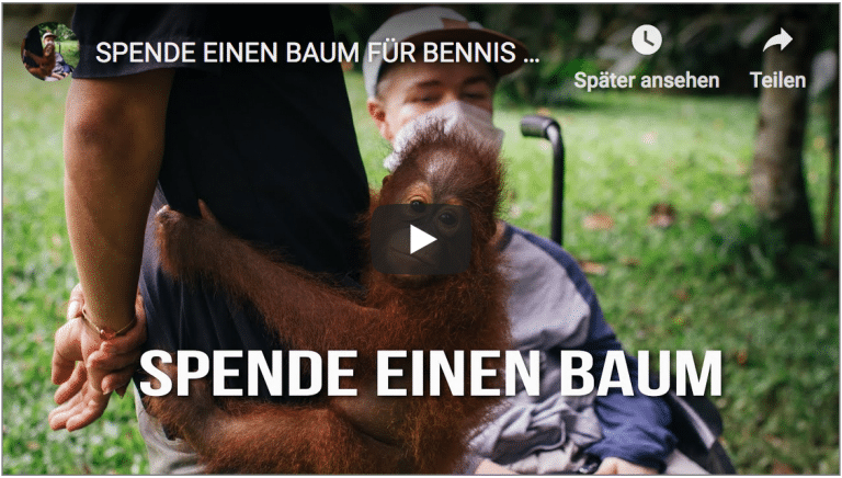 Spende einen Baum für Bennis Wald