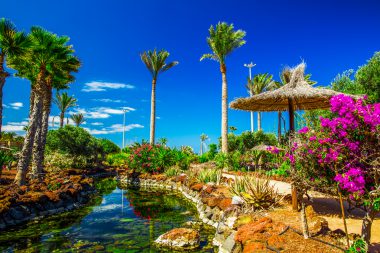 Fuerteventura, Tropischer Garten