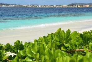 Bonaire