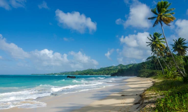 Samaná – Dreamlike beaches, like from a picture book