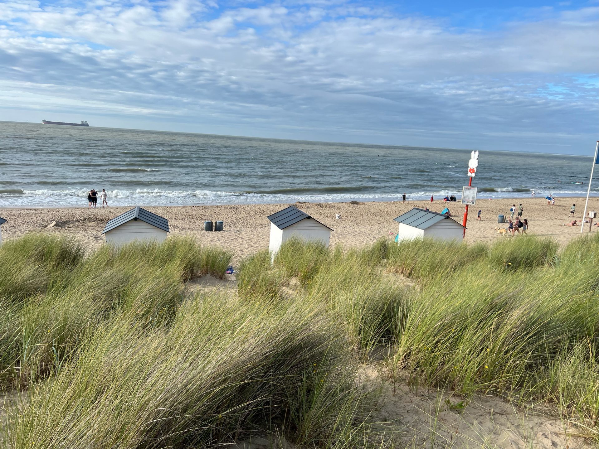 Strand von Cadzand Bad im August 2024