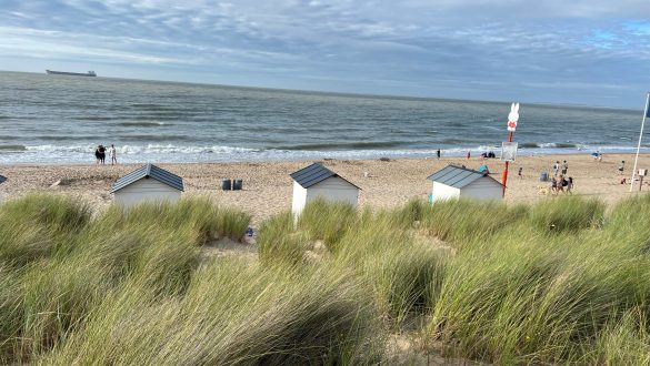 Strand von Cadzand Bad im August 2024