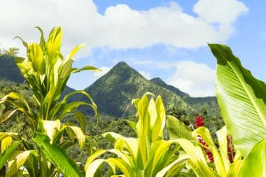 Montagne Pelée, Martinique, kleine Antillen