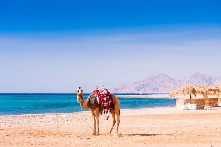 Hurghada – die Strandperle Ägyptens am Roten Meer