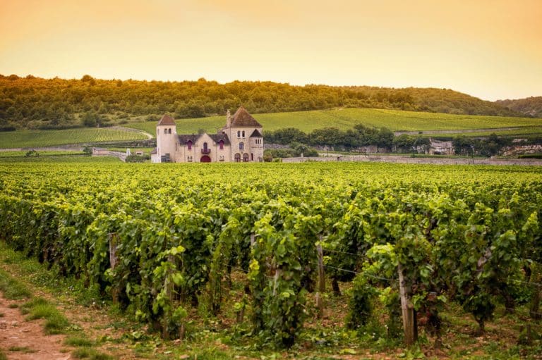 Burgundy-Franche-Comté – Close to nature