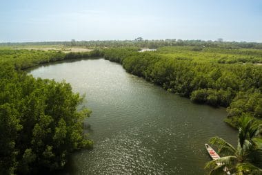 The Gambia River  