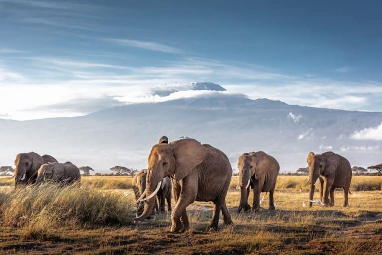 Kenia – das wilde Herz Afrikas