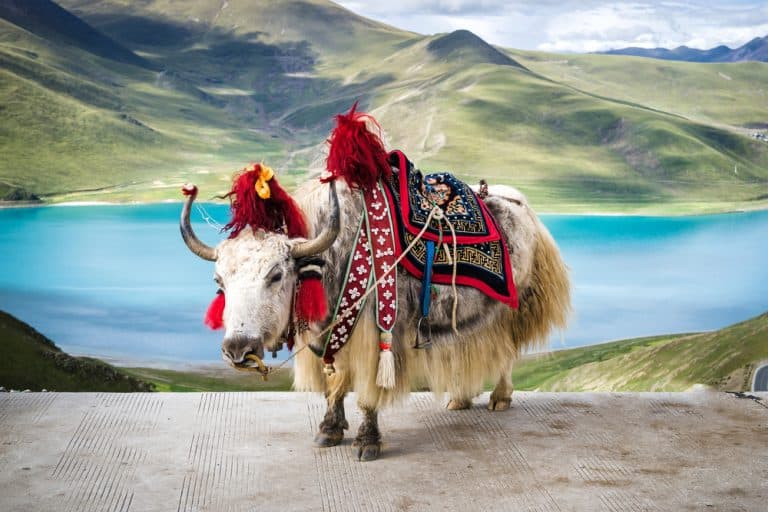 Tibet – the home of the Dalai Lama