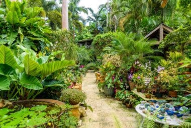 Huntes Garden in Barbados