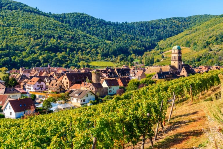 Alsace – close to home and yet cosmopolitan