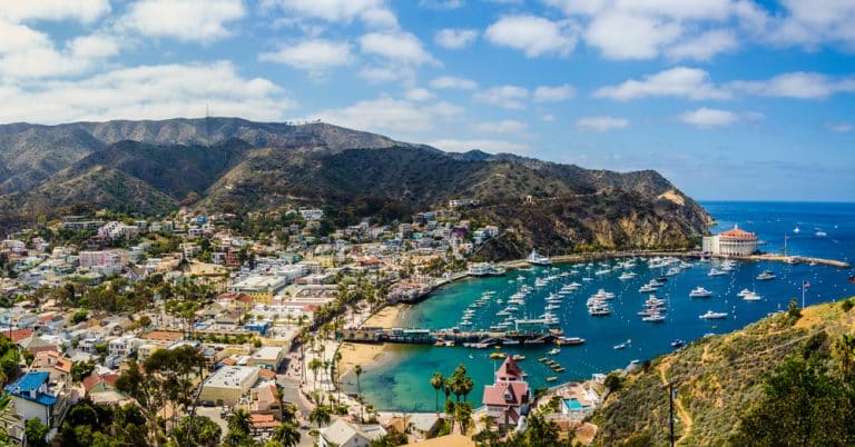 Catalina Island – Island Adventure Off the California Mainland