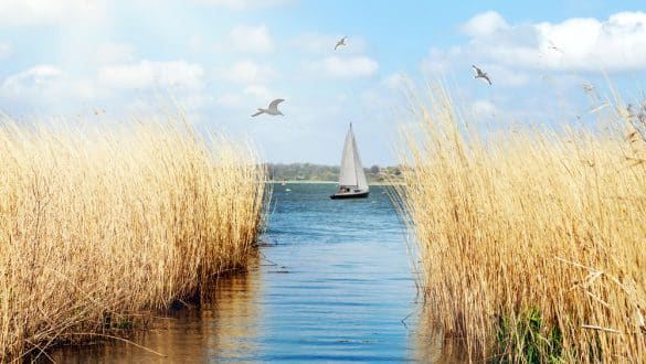 Schlei, Schleswig Holstein