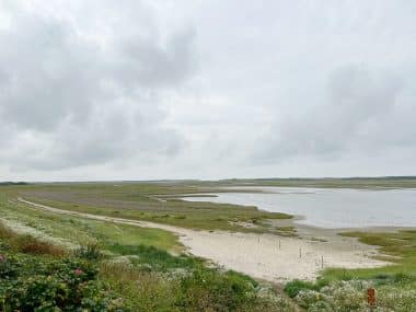 Vogelschutzgebiet DeSlufter auf Texel