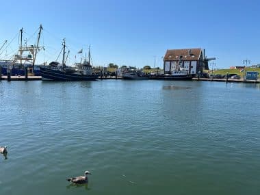 Port of Oudeschild Texel