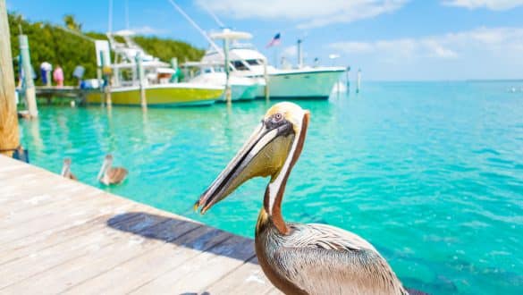 Islamorada, Key West