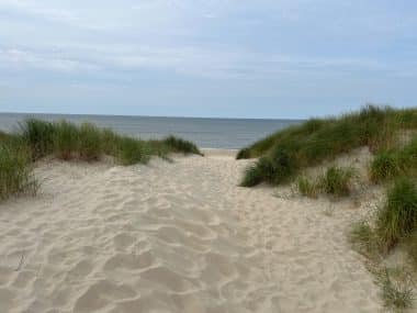 Fantastic dunes on Texel