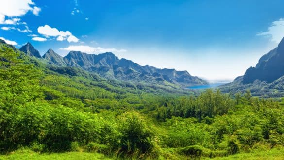 Mont Rotui, Moorea