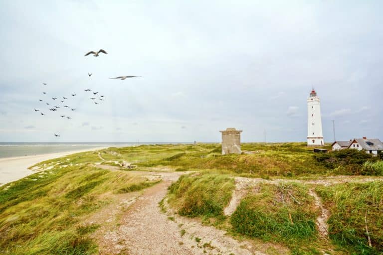 Beautiful North Sea – Blåvand and surroundings