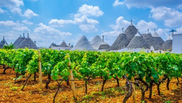 Wein Alberobello