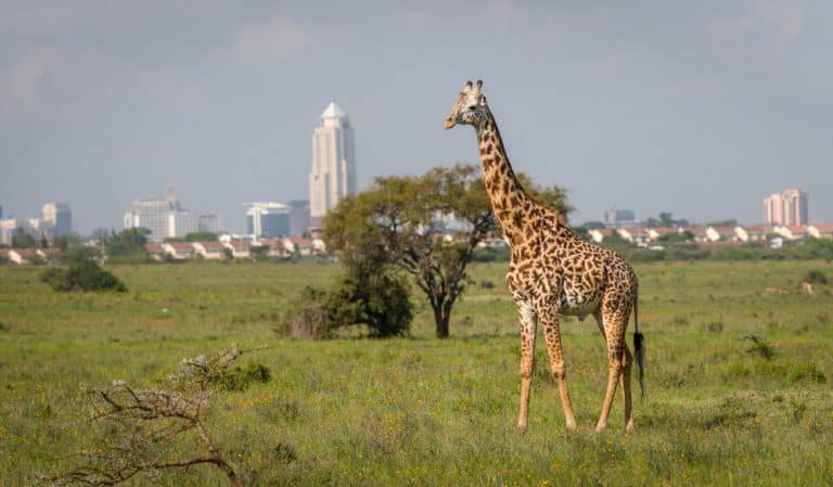 Nairobi – Kenya’s capital