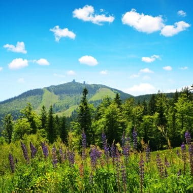 Grosser Arber, Bayerischer Wald