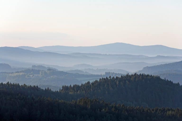 Advertisement: Hiking in the Bavarian Forest – where life becomes freer and richer