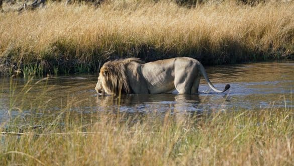 Botsuana, Okavangodelta