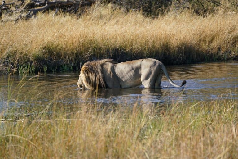 Botswana – Republic of Natural Paradises