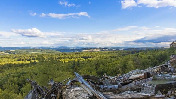 Natur im Hunsrück