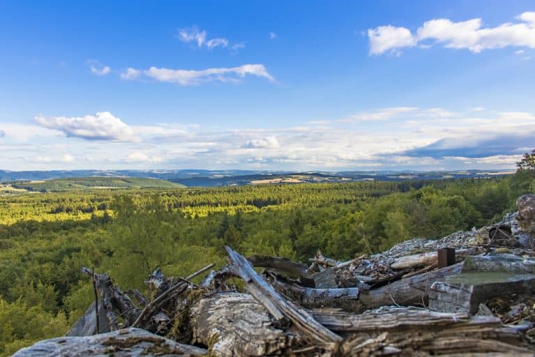 The Hunsrück – picturesque low mountain range