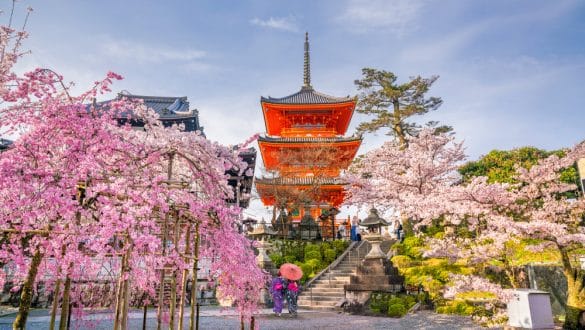 Die buddhistischen Tempelanlagen des Kiyomizu-dera in Kyoto