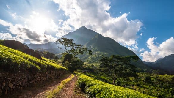 Malawi, Berg Mulanje