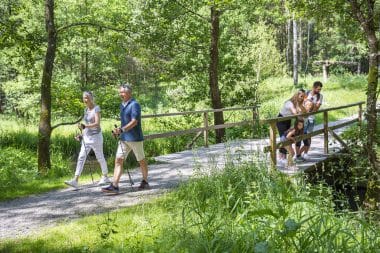 Bavarian Forest Lake Circular Trail