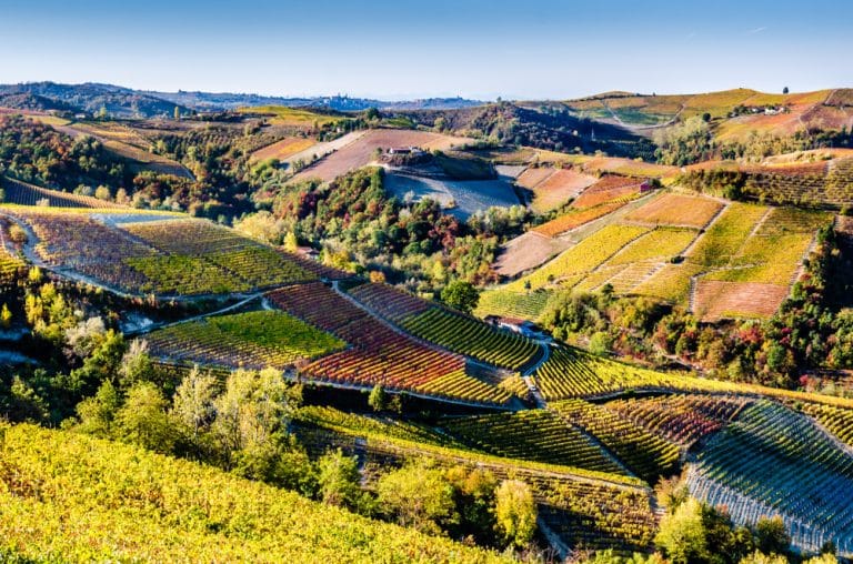 For a wine in the … Piedmont!