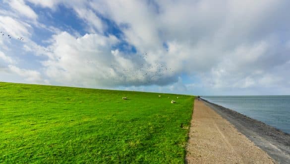 Föhr Nordfriesland