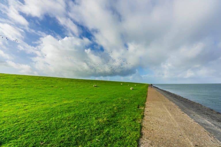 Föhr: Holidays in North Frisia