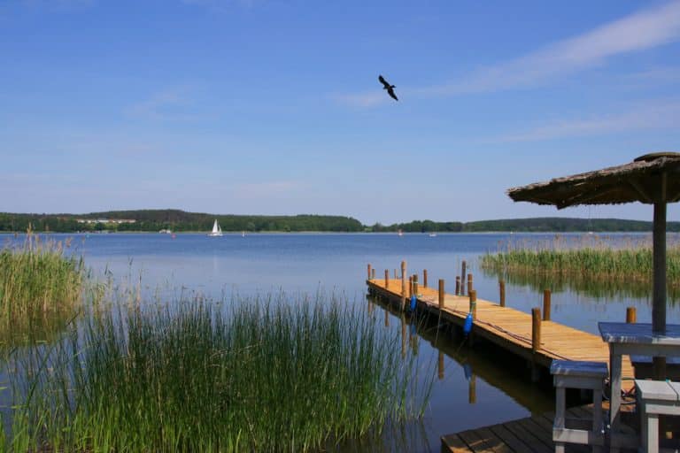 Die Mecklenburgische Seenplatte bietet Natur und Kultur im Überfluss