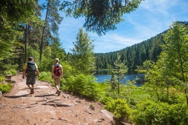 Herrenwieser See, Schwarzwald