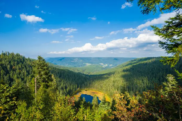 Huzenbachersee im Nordschwarzwald