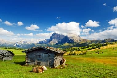 Alpe di Siusi, Dolomites