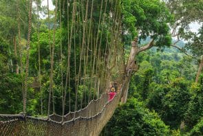 Khakum Nationalpark in Ghana