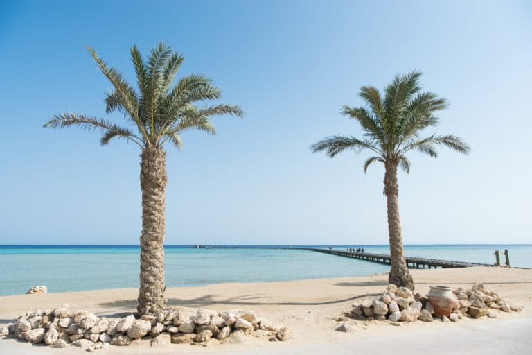 Soma Bay – Ägyptens neuer Tourismus-Hotspot